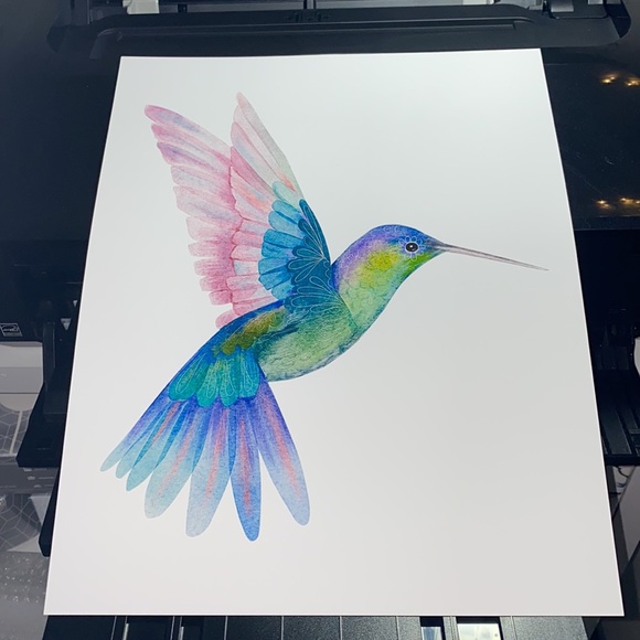 Watercolor Hummingbird Wall Art Illustration Print Poster Unframed - Picture 8 of 17